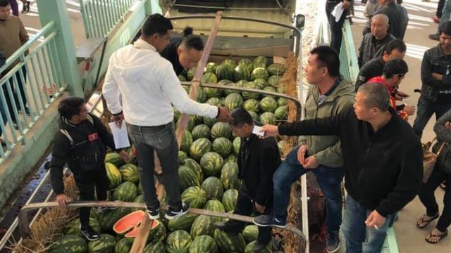 တရုတ်ဝယ်လက်ကအကောင်းဆုံးအသီးတွေကိုသာယူပြီးကျန်အသီးတွေကို ပယ်သီးအဖြစ် စွန့်ပစ်