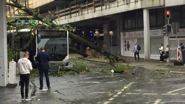 A bus with a fallen tree in Paderborn, Germany, after a suspected tornado