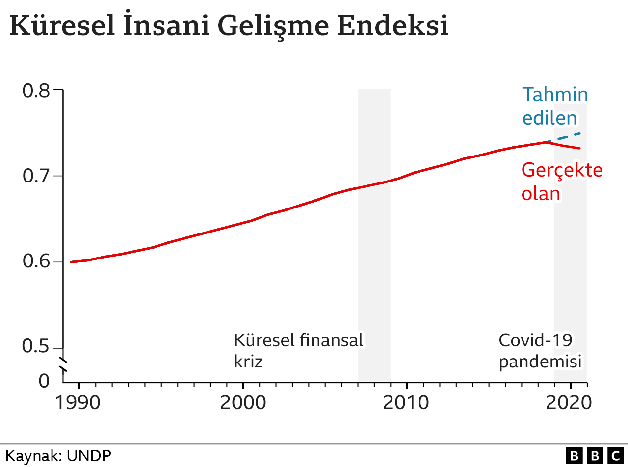 insani gelişim endeksi