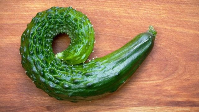 Quando for ao mercado, que tal escolher os legumes mais ‘feios’ para o jantar?