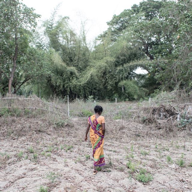 Малика стоит посреди поля, в котором ее муж Палличам покончил жизнь самоубийством в январе 2017 года. Семья разорилась, когда от засухи погиб весь урожай.