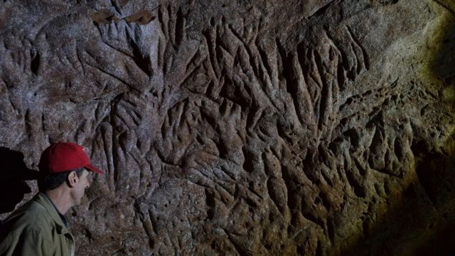 பெரும் கரடிகள் தோண்டிய சுரங்கப்பாதைகள்