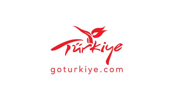 goturkiye logosu