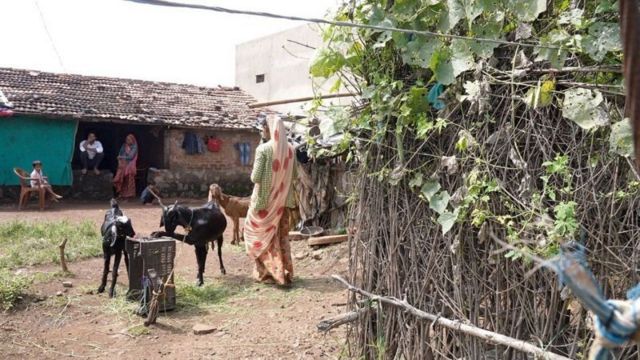 ராஜஸ்தான் தேர்தல்