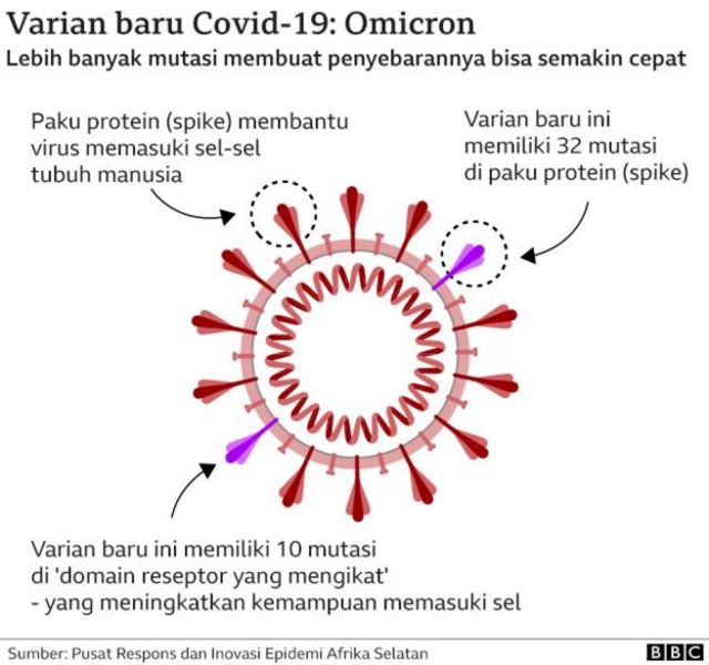 Varian baru Covid-19, Omicron.