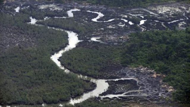 Niger Delta