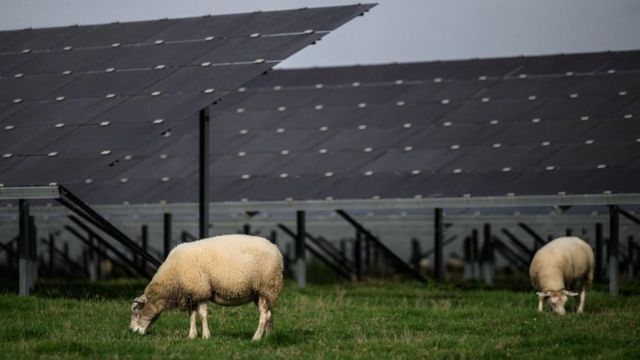 Ферма сонячних батарей у Франції