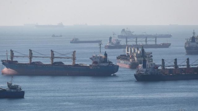 Cargo ships carrying Ukraine grain are anchored as they wait in line for the inspection on the Marmara sea, Istanbul, Turkey, 22 October 2022