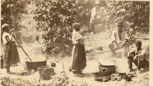 Homens e mulheres escravizados trabalhando em fazenda de café no Brasil
