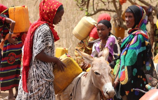 Women with donkeys in Marsabit, Kenya