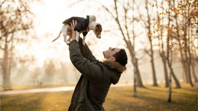 爱犬寿命知多少：我的宠物狗能活多久？(photo:BBC)