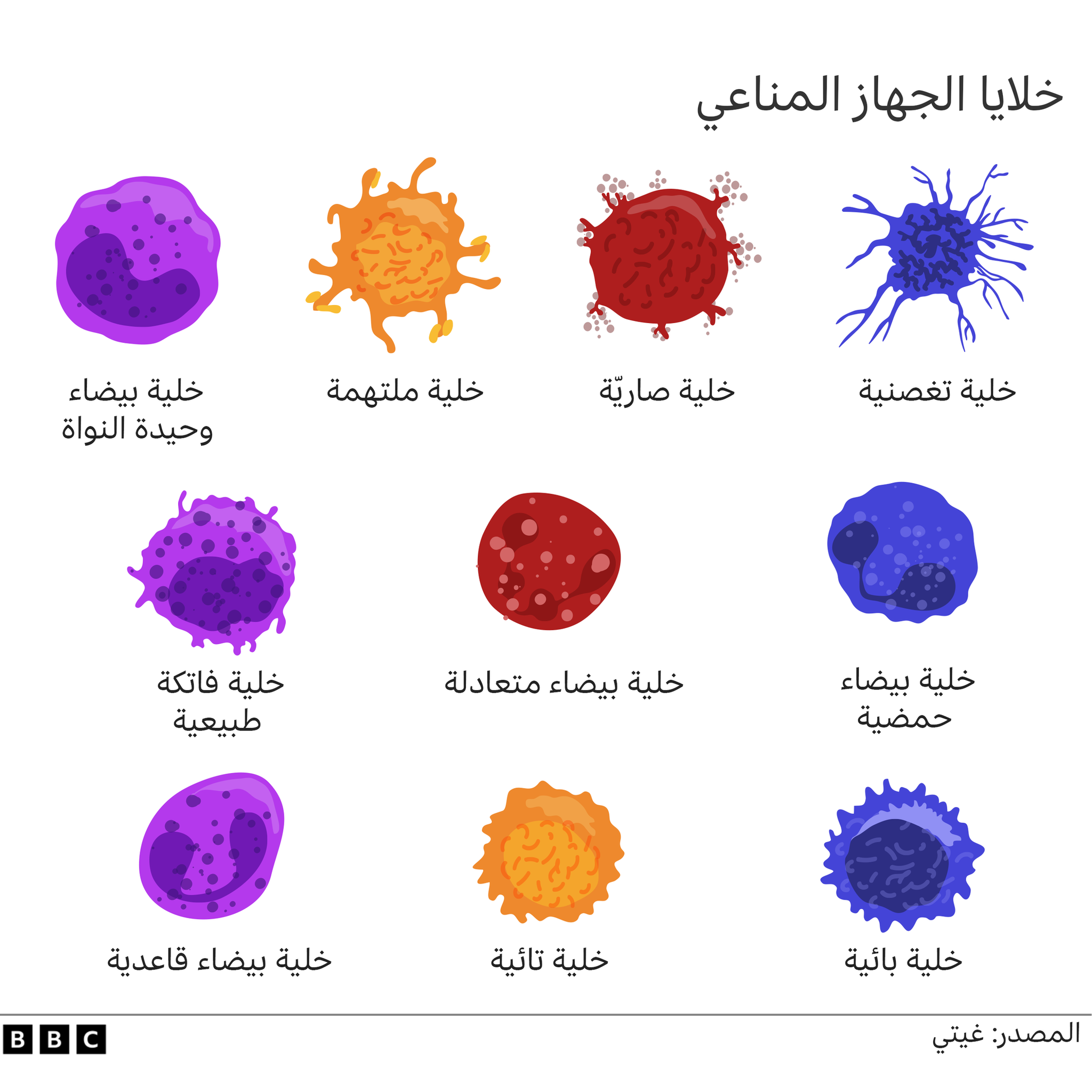 رسم توضيحي للخلايا المناعية