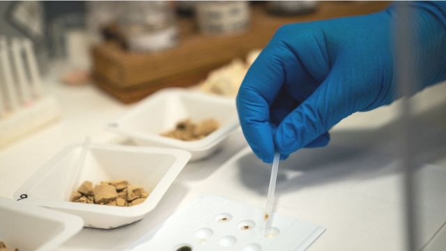 Um técnico testa uma droga que se acredita ser fentanil no Laboratório Forense da Polícia Estadual de New Hampshire