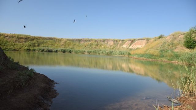 харків