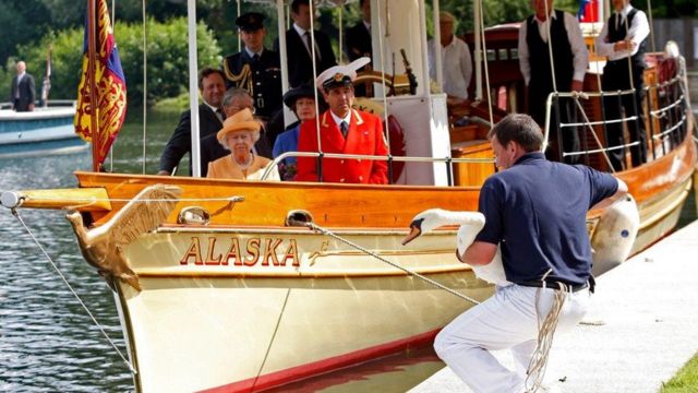 Nữ hoàng Elizabeth II trong một lần đi thuyền thăm thiên nga của bà ở gần Windsor