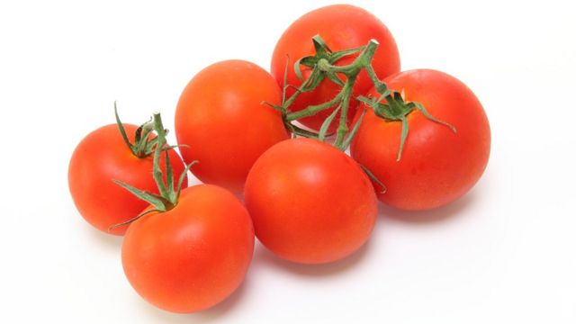 "El fruto es redondo, chato, y desigual, liso, y lustroso, de color verde, que con el sol se vuelve encarnado", dice el Diccionario de autoridades sobre el tomate.