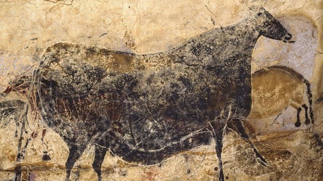 A painting of a cow was found in France.