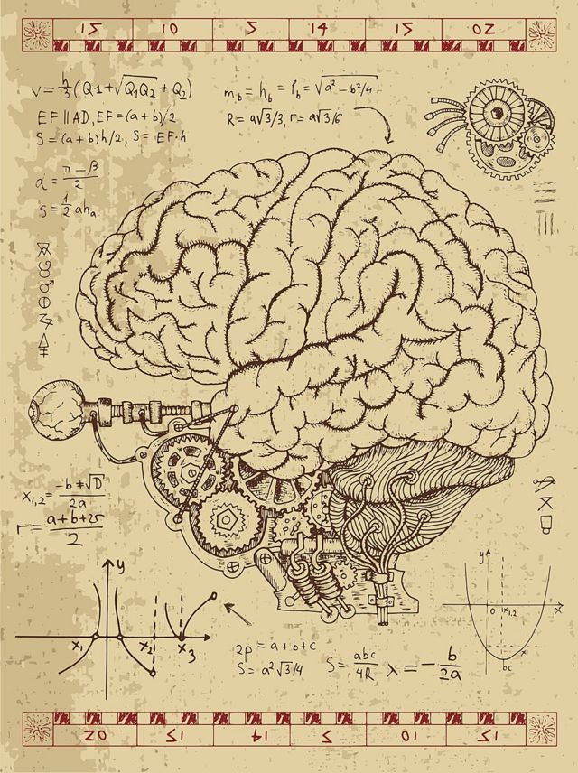 Ilustração do cérebro