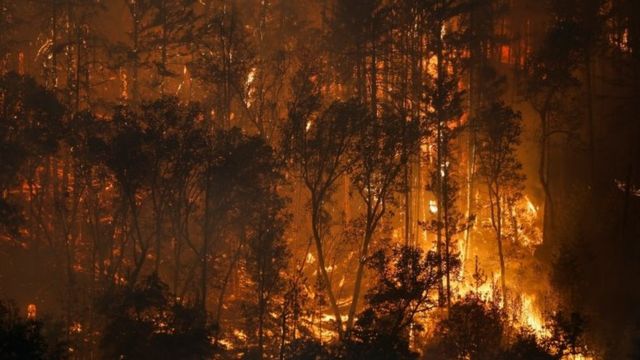حريق الغابات "ماكيني" في كاليفورنيا
