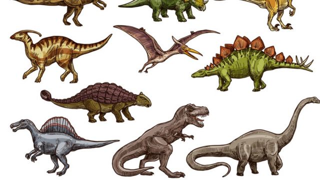 La desconocida extinción masiva que cambió la Tierra y permitió que los  dinosaurios dominaran nuestro planeta - BBC News Mundo