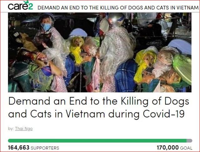 Thảm sátu0027 chó ở Cà Mau: Người chủ muốn tìm luật sư u0027để đòi lại 