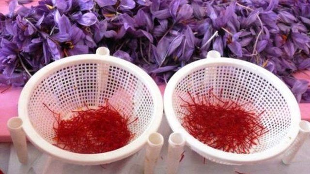 Заъфарон гули ва толаси.