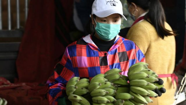 중국의 한 바나나 농장