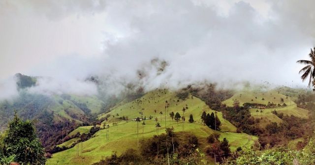 Vista del Valle de Cocora, en Salento, Quindio, Colombia.