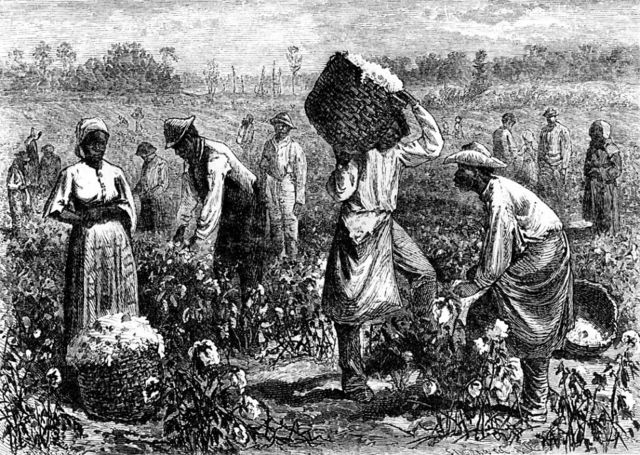 Este dibujo es de una plantación de algodón en Estados Unidos, en 1875.