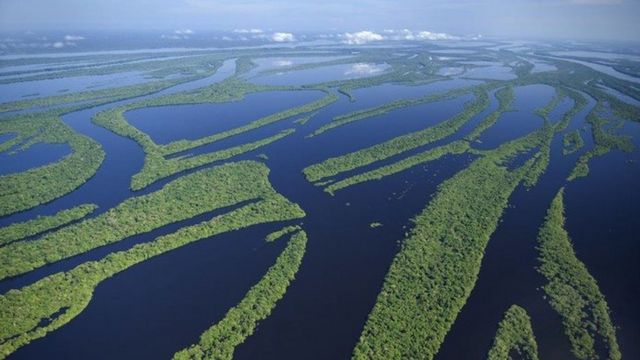 Đức cam kết hỗ trợ hàng triệu USD để bảo vệ rừng Amazon tại Brazil   ThienNhienNet  Con người và Thiên nhiên