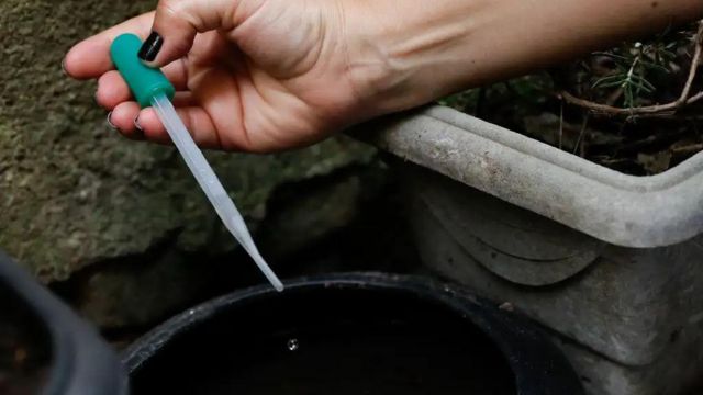 Agentes de vigilância em saúde fiscalizam e orientam moradores sobre focos do mosquito Aedes aegypti, transmissor da dengue, em Perdizes, bairro da capital paulista