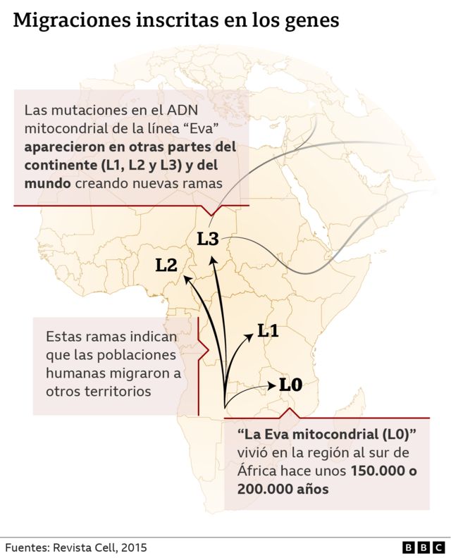 Gráfico con mapa de África y migraciones inscritas de los genes