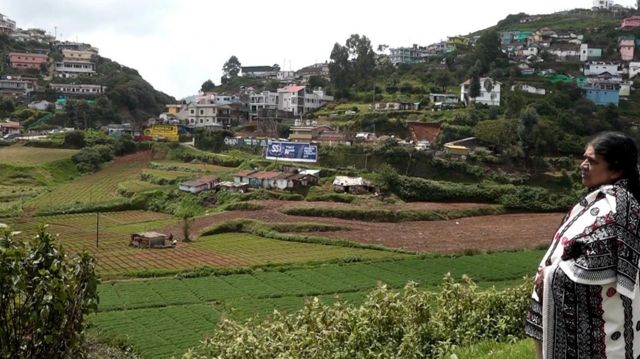 நீலகிரி, ட்ரௌட் மீன், பர்ன்ஃபூட் ஏரி