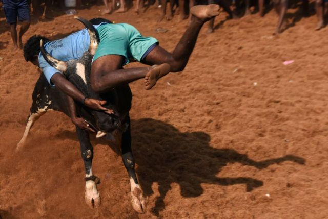 ஜல்லிக்கட்டு பரிசு வரலாறு