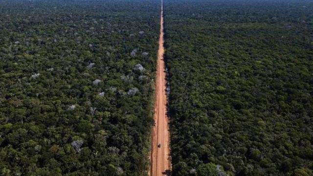 A 'espetacular' nova espécie de aranha descoberta na Austrália