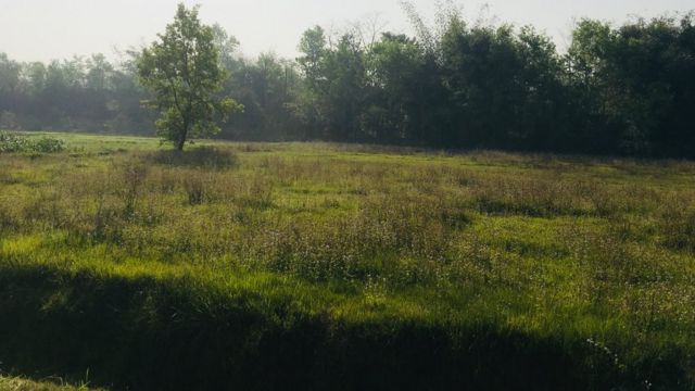 पार्क बन्ने स्थान