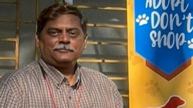 நாய்கள், நாய்க்கடி, செல்லப்பிராணிகள்