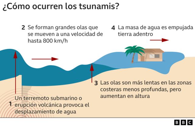 Explanatory infographic of how tsunamis work.