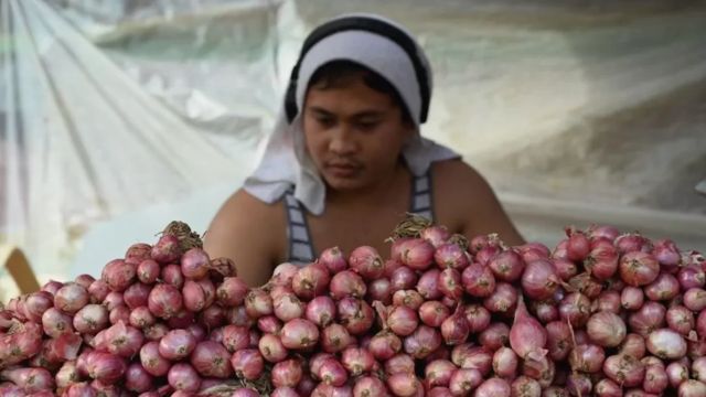 Giá hành ở Philippines đã tăng gấp ba lần trong những tháng gần đây