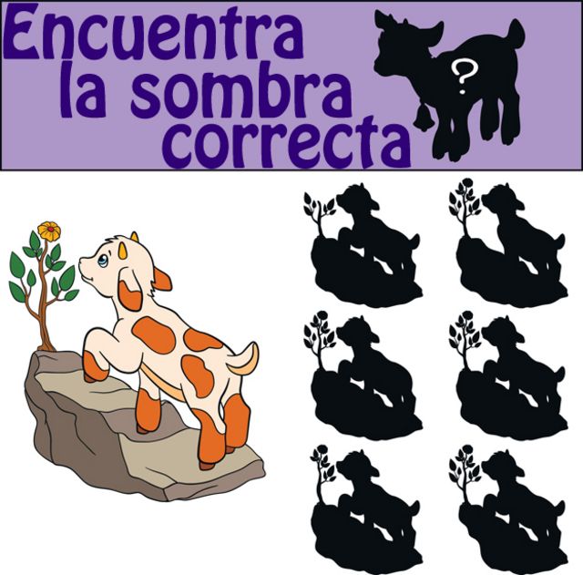 Encuentra la sombra correcta