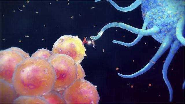 புற்றுநோய் உயிரணுக்கள்