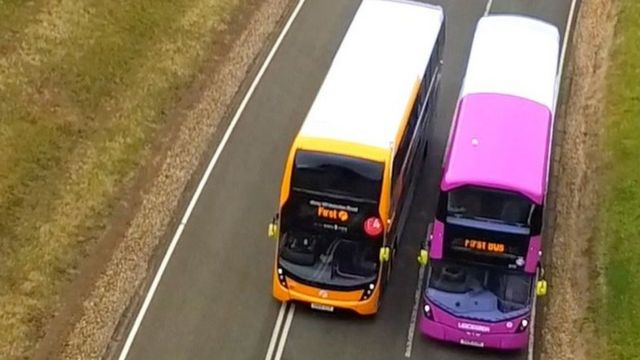 Buses