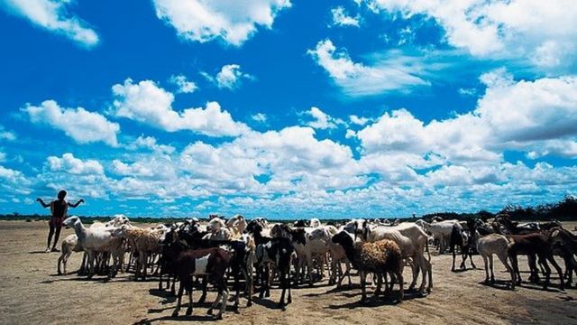 La localité de Macina est située à 400 km au nord de la capitale, Bamako.