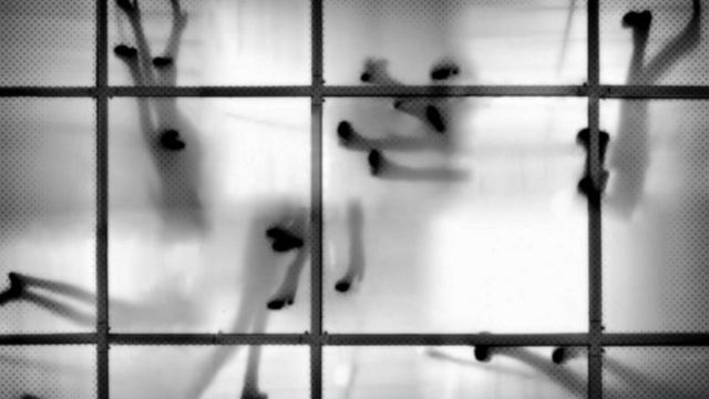 sombras sobre un vidrio
