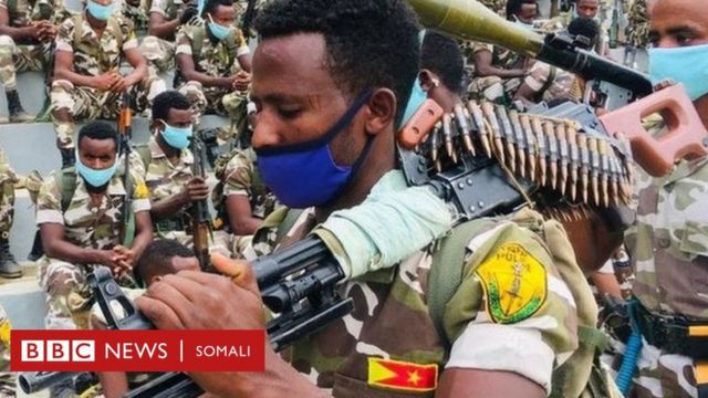 Askari TPLF