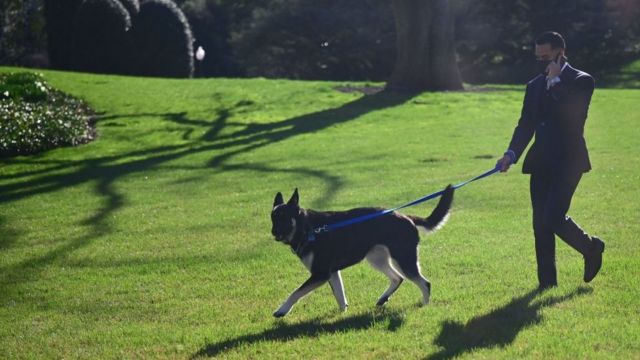 Major is walked by a staff member in the White House grounds on 29 March 2021