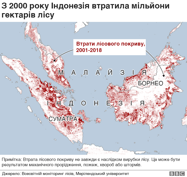 Втрати лісів