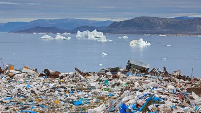 플라스틱 폐기물은 남극해의 얼음과 심해에 사는 동물의 소화기관에서도 발견된다