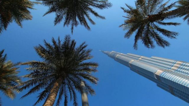 ناطحة سحاب برج خليفة في دبي في مشهد متناقض مع النخيل