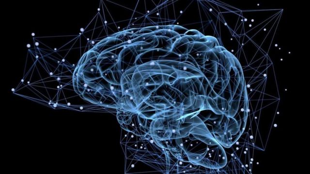Những sự thật gây sốc về bộ não con người  KhoaHoctv